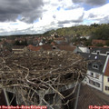 14_20-nest.jpg