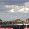 14_25-mast.jpg