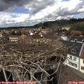 14_25-nest.jpg
