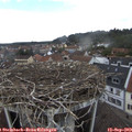 14_30-nest.jpg