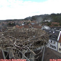 14_35-nest.jpg