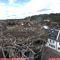 14_40-nest.jpg