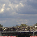 14_45-mast.jpg