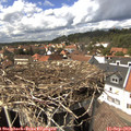 14_45-nest.jpg