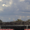 14_50-mast.jpg