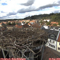 14_55-nest.jpg