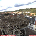 15_00-nest.jpg