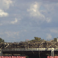 15_05-mast.jpg