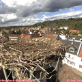 15_05-nest.jpg