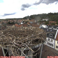 15_10-nest.jpg