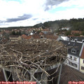 15_15-nest.jpg
