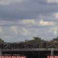 15_20-mast.jpg