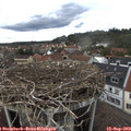 15_25-nest.jpg