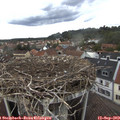 15_30-nest.jpg