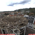 15_35-nest.jpg