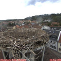 15_40-nest.jpg