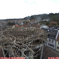 15_45-nest.jpg