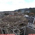 15_50-nest.jpg