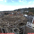 15_55-nest.jpg