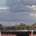 16_00-mast.jpg