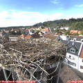 16_00-nest.jpg