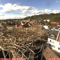 16_05-nest.jpg