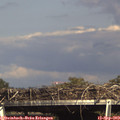16_10-mast.jpg