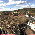 16_10-nest.jpg