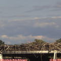 16_15-mast.jpg
