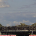 16_20-mast.jpg