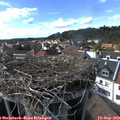 16_20-nest.jpg