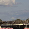 16_25-mast.jpg