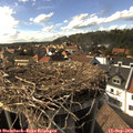 16_25-nest.jpg