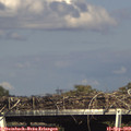 16_30-mast.jpg