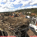 16_45-nest.jpg
