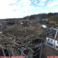 16_55-nest.jpg