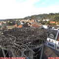 17_15-nest.jpg