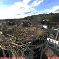 17_20-nest.jpg