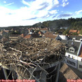 17_25-nest.jpg