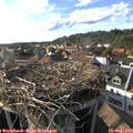 17_40-nest.jpg