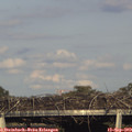 17_55-mast.jpg