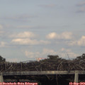 18_00-mast.jpg