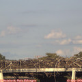18_10-mast.jpg