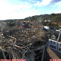 18_10-nest.jpg
