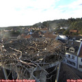 18_30-nest.jpg