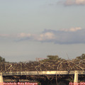 18_35-mast.jpg
