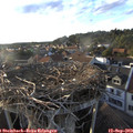 18_35-nest.jpg