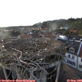 18_45-nest.jpg