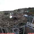 19_15-nest.jpg