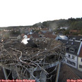 19_20-nest.jpg